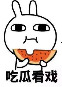 娱乐吃瓜酱算什么行业,揭秘娱乐圈幕后行业风云